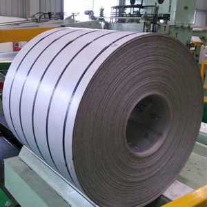 310 Stainless Steel Coil